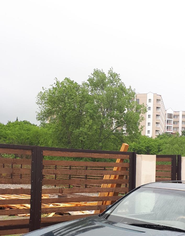 Домики У Лизы Под Ключ Pizunda Ngoại thất bức ảnh